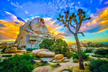 Obituary of Elizabeth Olga Keller