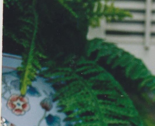 Myrna Howe Obituary - Hyannis, MA