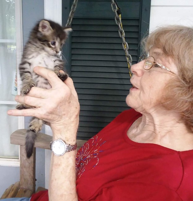 Obituary of Judith "Judy" Alice Kathleen Warriner