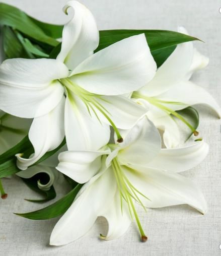 Obituary of Nathan "Nate" Nahmias