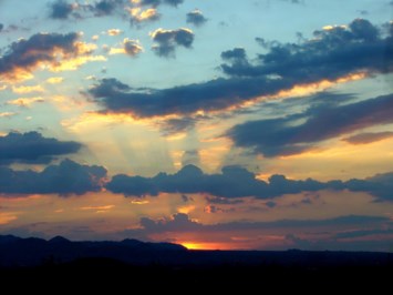 Obituary of Virginia Barrett Holcomb Edwards