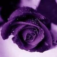 Obituary of Terry Lynn Reed