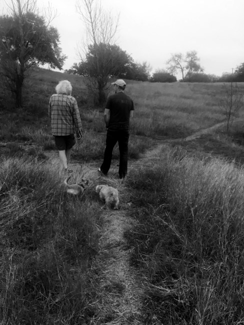 Obituary of Daniel G. Pilkington