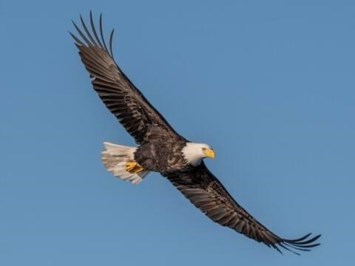 Obituary of Timothy Eugene Robinson