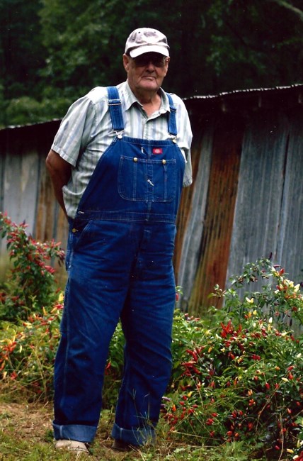 Obituary of Robert Lee Wells