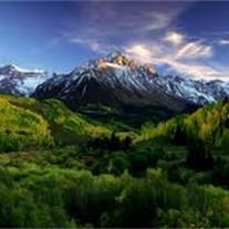 Obituary of Raymond Arthur Scheetz