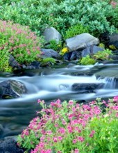 Avis de décès de Ethel E. Morris