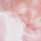 Obituary of Mia Dinh