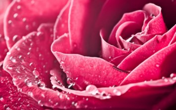 Obituary of Mary Thompson Terry