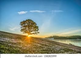 Obituary of Helaine J Boss