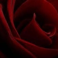 Obituary of Judy Johnston