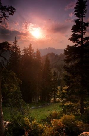 Obituary of Linda Rae Crowley