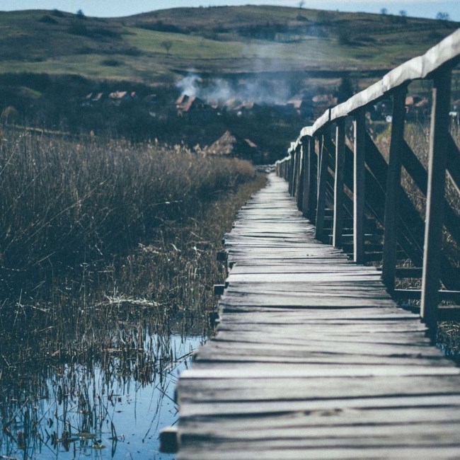 Obituary of James Thomas White