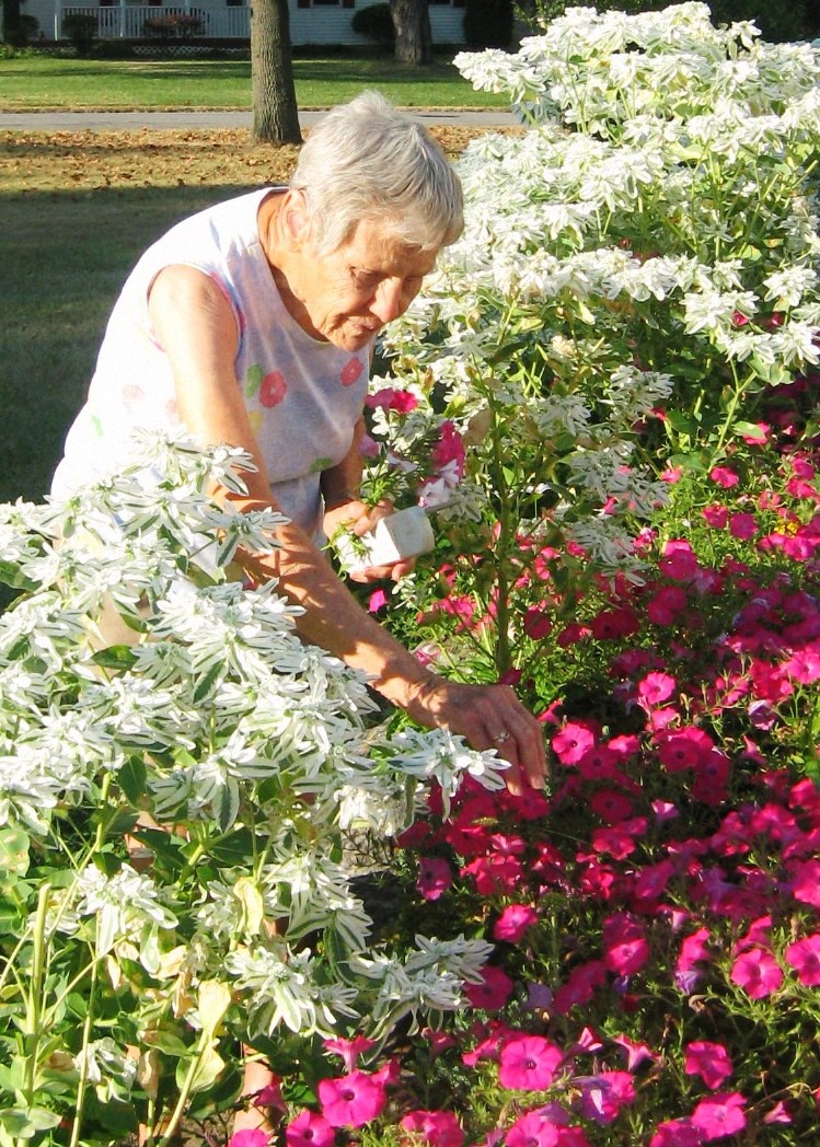 Obituary of Mary Elizabeth Tape