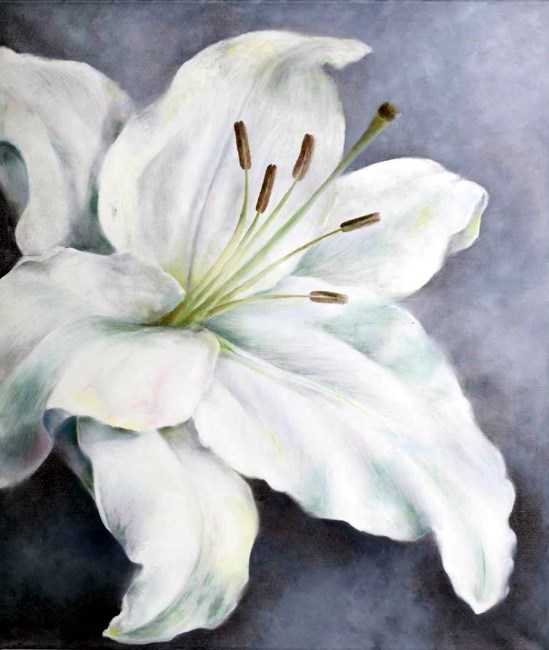 Obituary of Donna Mae Collins