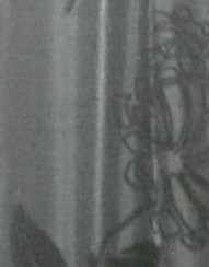 Susan Miller Obituary Navin, MB