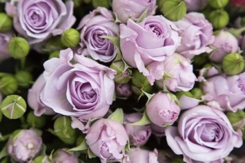 Obituary of Melinda Marie Pitman
