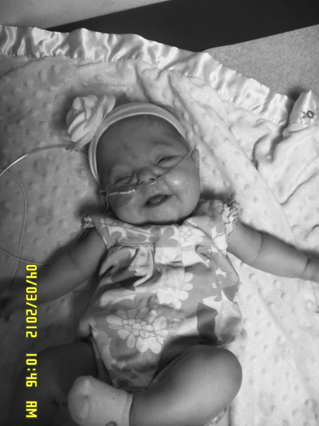 Obituary of Delaney Ann Jenkins