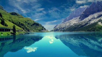 Obituary of Jamie Lynne Colton-Shepherd