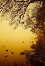 Obituary of Casey Lee McDowell