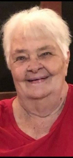 Obituary of Jane Ann Mercurio