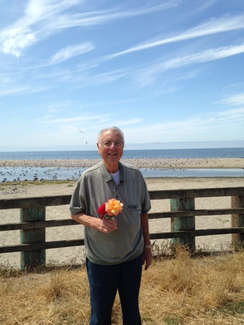 Obituary of Joseph S. D'Angelo