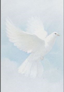 Obituary of Amelia Loera