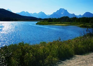 Obituary of Anthony D Poyner