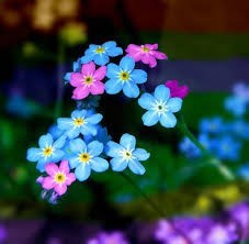 Obituary of Mrs. Pamela Mattie Joseph