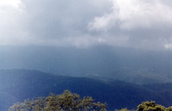 Avis de décès de Thomas D Brannan