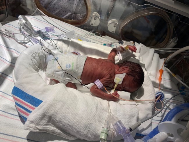 Dream Davis Obituary Linden Nj