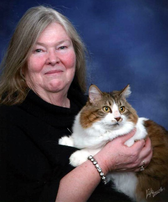 Obituary of Terry Lynn Schuchman