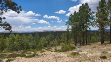 Obituary of Mark Quinn Gore