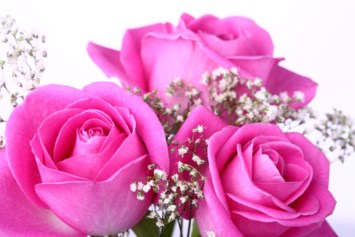 Obituary of Josephine Labita