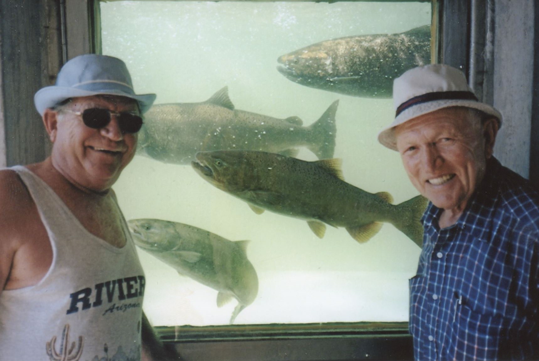 Obituary of Dominique A. Le Febvrier