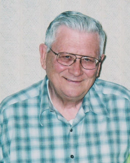 Obituary of Stephen "Skip" Dominic Novak Jr.