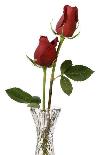 Obituary of Kenneth F Joy