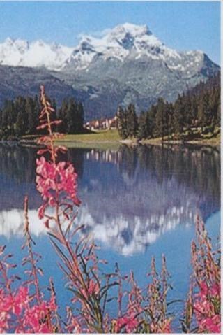 Obituary of Sandra Lee Wardensky