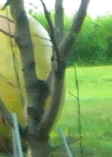 Jeffrey Boersma Obituary Rockford IL jeffrey-boersma-obituary-rockford-il