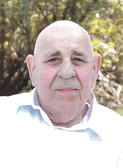 Obituary of José da Terra Gomes