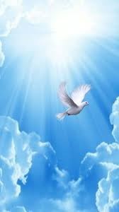 Obituario de Rogelio Lopez Garcia