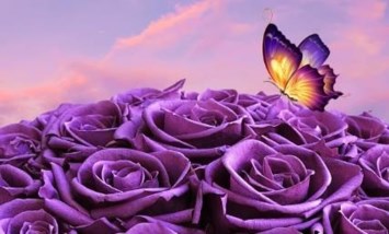 Obituary of Rita Orr