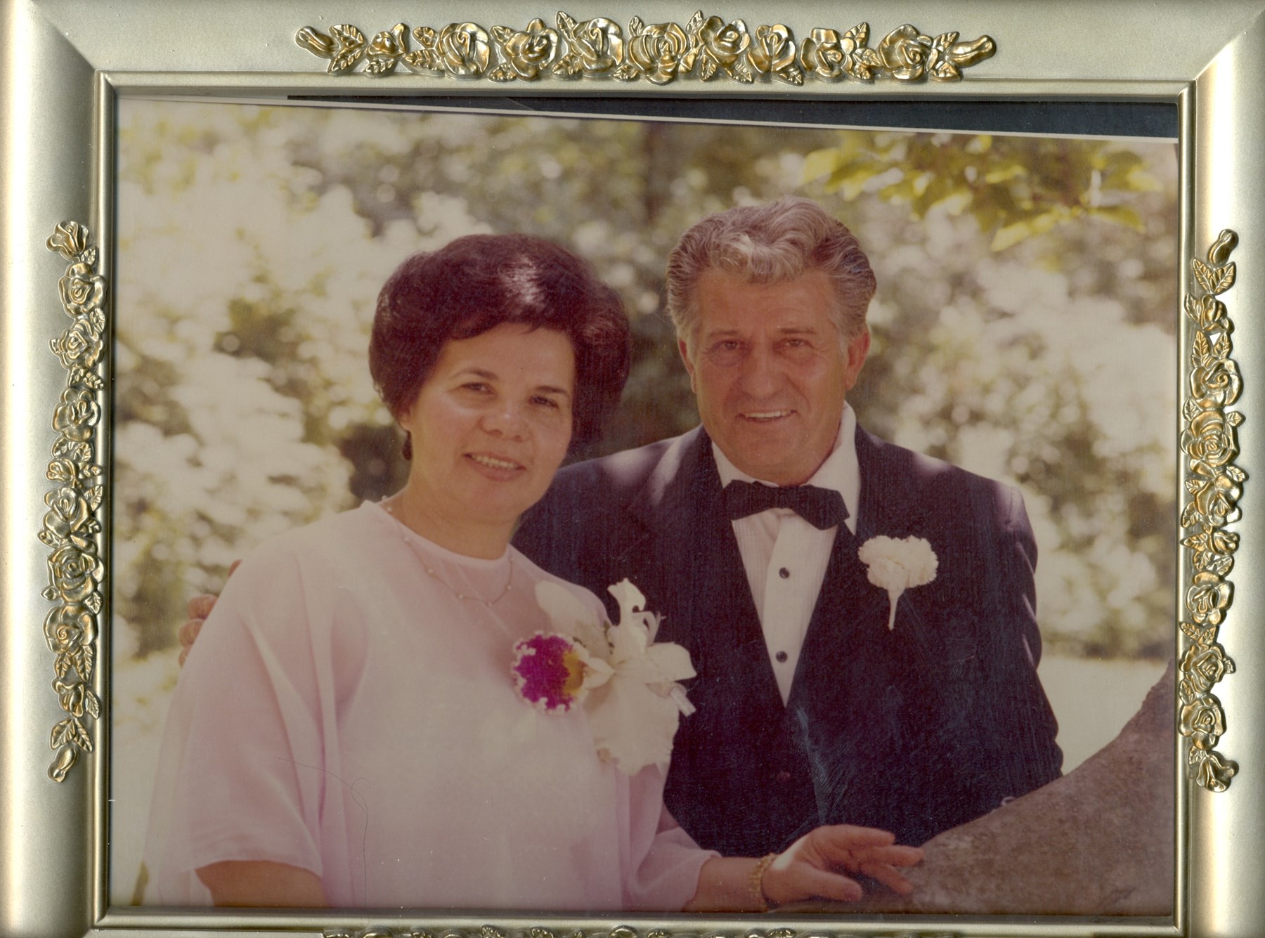 Obituary of Frances Piccione