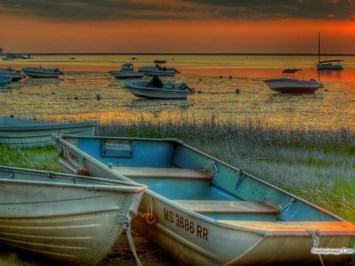 Obituary of James A. Rakotz