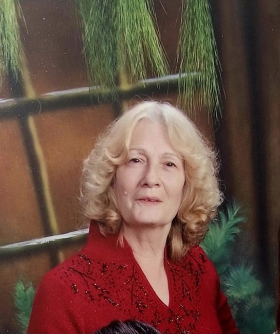 Obituary of Nancy Henning Siebert