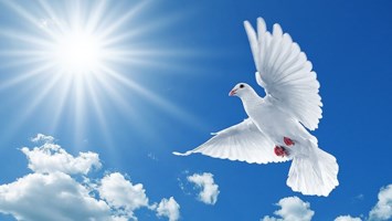 Obituary of Luis E Carrillo González