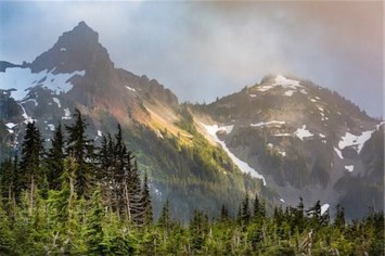 Obituary of Derek Taylor