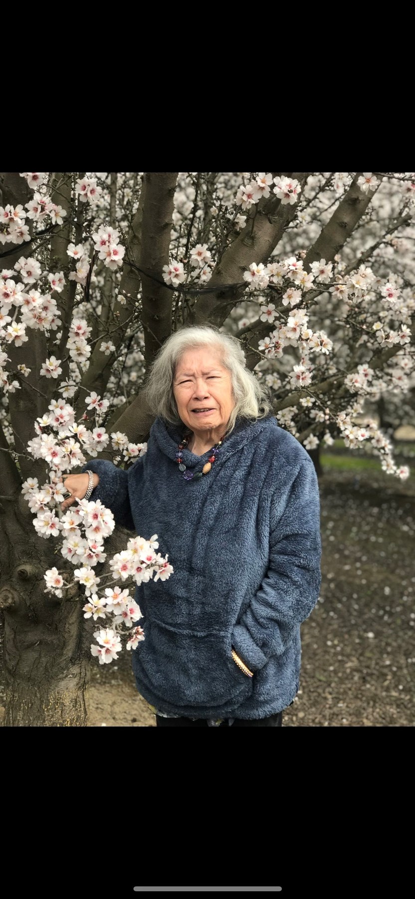 Obituary of Abigail Miranda