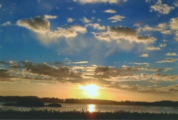 Obituary of Brenda Rose TOM