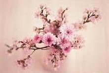 Obituary of Mary R. Lantz